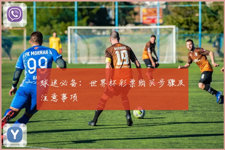 球迷必备：世界杯彩票购买步骤及注意事项