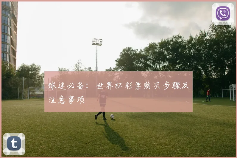 球迷必备：世界杯彩票购买步骤及注意事项
