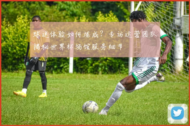 球迷体验如何炼成？专访运营团队揭秘世界杯场馆服务细节