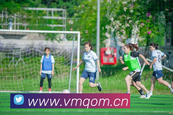 乐鱼体育app登录入口发展历程